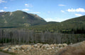 rocky mountain aspen Vintage A4 Photo Print
