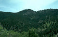 rocky mountain forest Vintage A4 Photo Print