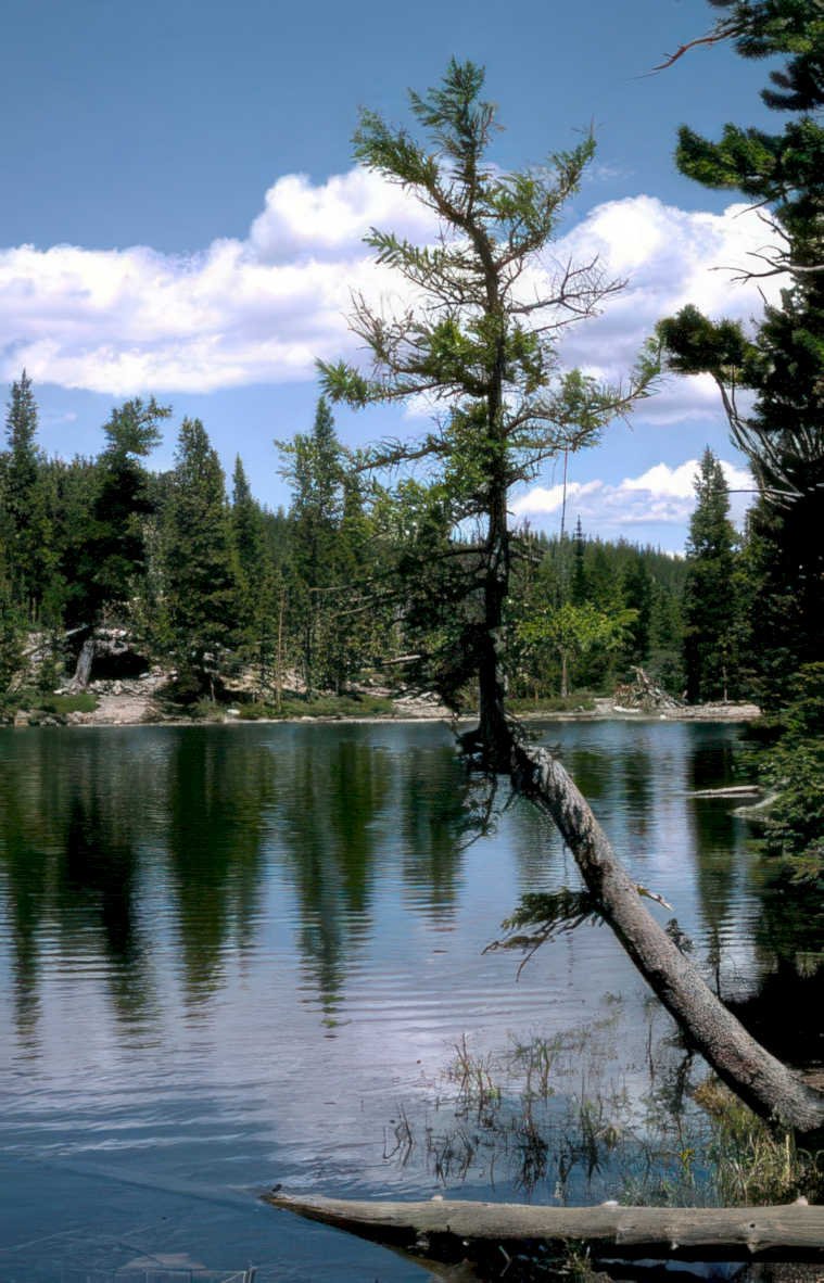 rocky mountain lake 2 Vintage A4 Photo Print