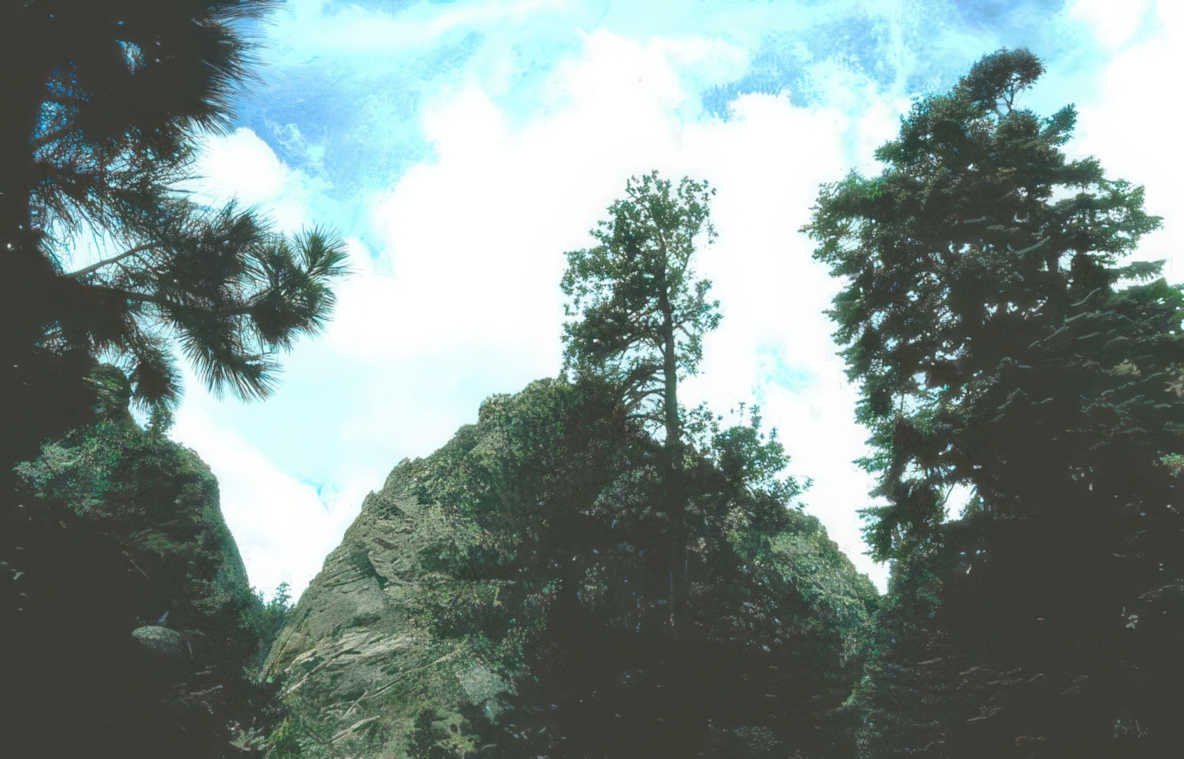 rocky mountain peaks 8 Vintage A4 Photo Print