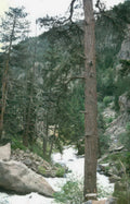 rocky mountain stream Vintage A4 Photo Print