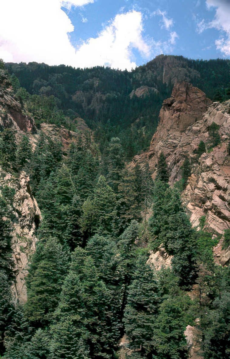 rocky mountain valley 1 Vintage A4 Photo Print