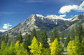 rocky mountains banff 1980s 1990s A4 Photo Print 42