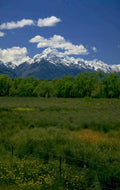 rocky mountains vista 1980s 1990s A4 Photo Print