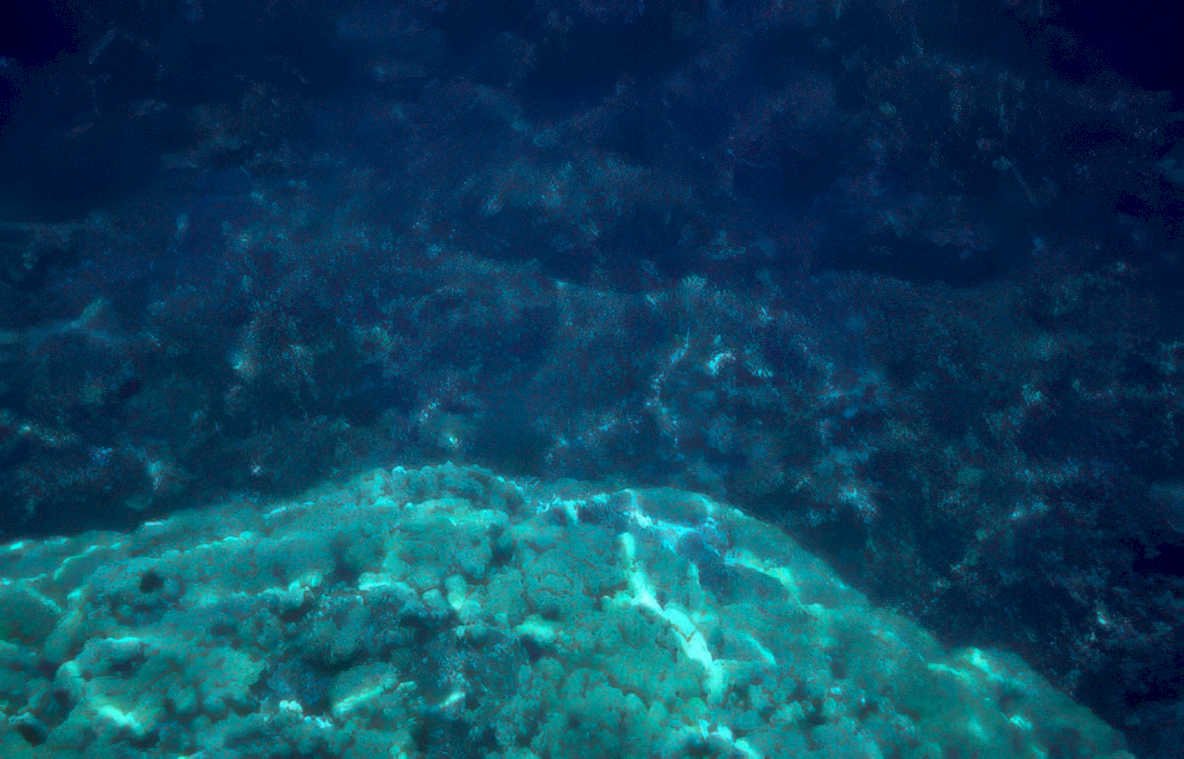 rocky seabed current Vintage A4 Photo Print