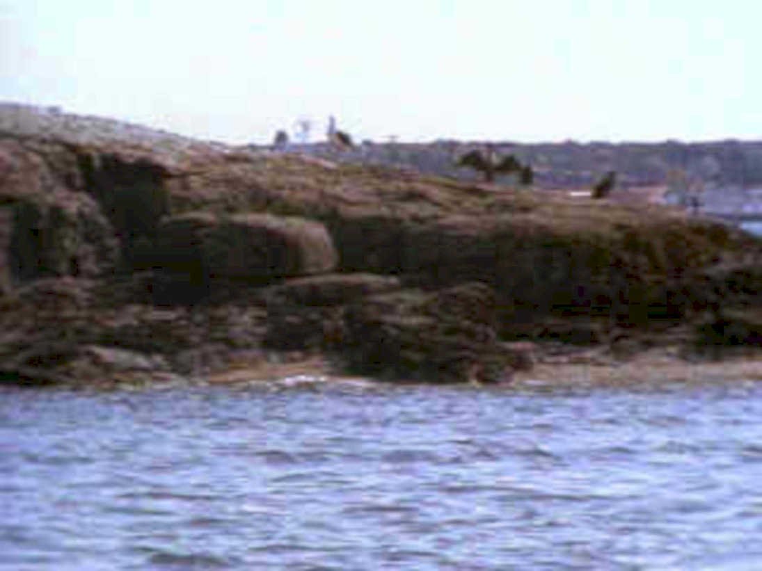rocky shore lighthouse1980s 1990s A4 Photo Print