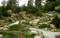 rocky stream garden Vintage A4 Photo Print