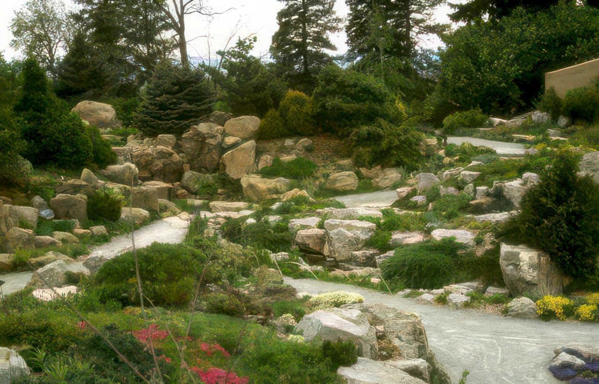 rocky stream garden Vintage A4 Photo Print