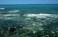 rocky turquoise waves Vintage A4 Photo Print