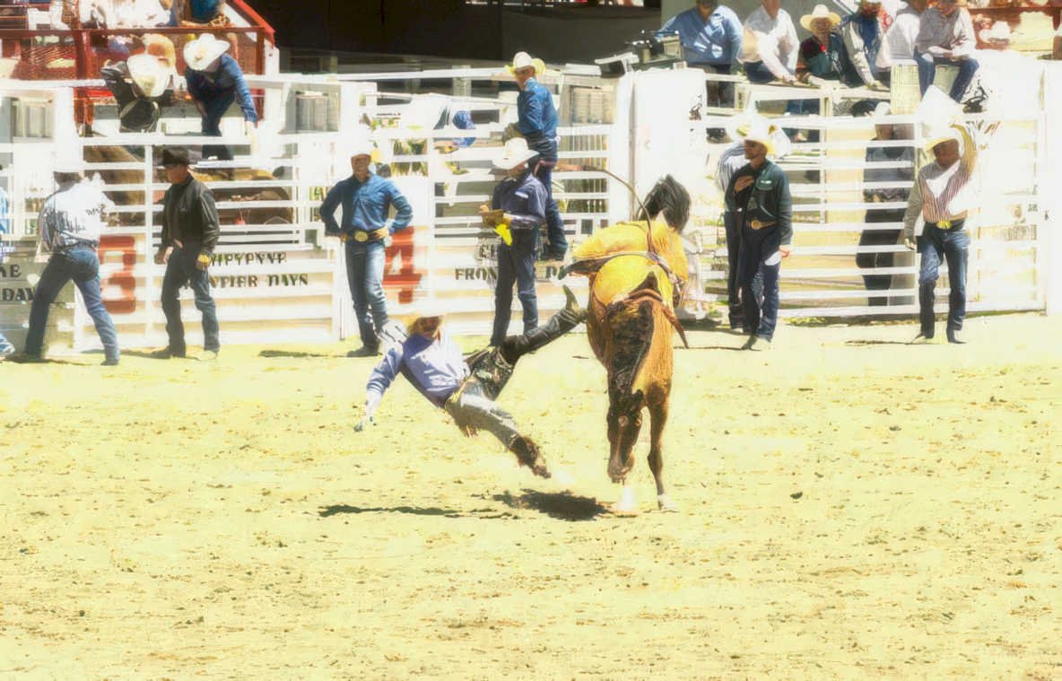 rodeo bucking bronco Vintage A4 Photo Print