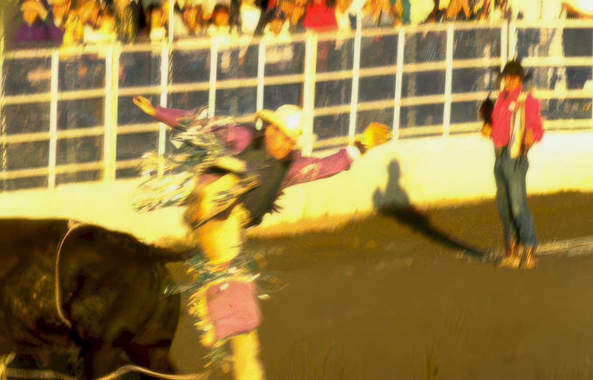 rodeo bull action 1 Vintage A4 Photo Print