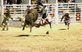 rodeo bull chief Vintage A4 Photo Print