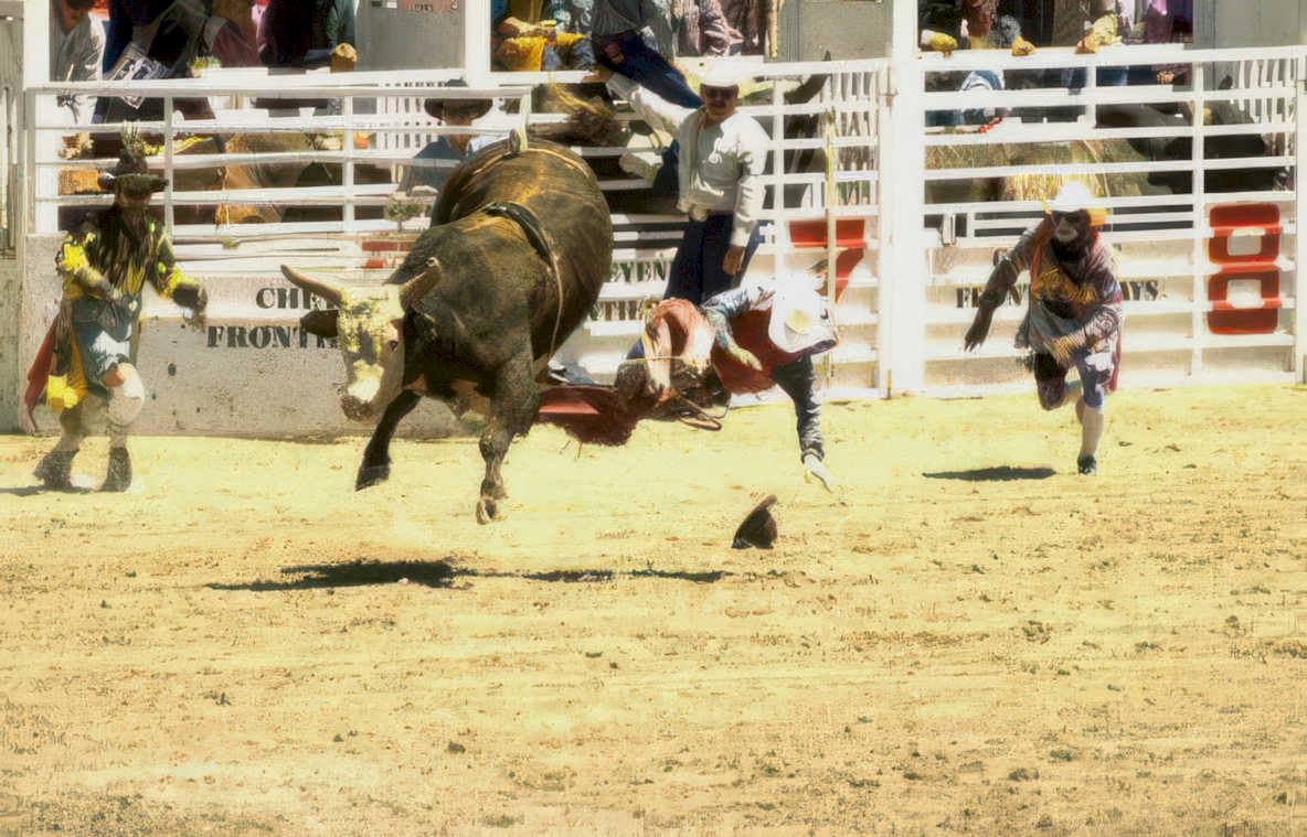rodeo bull chief Vintage A4 Photo Print