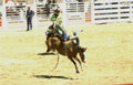 rodeo bull frontier 1 Vintage A4 Photo Print