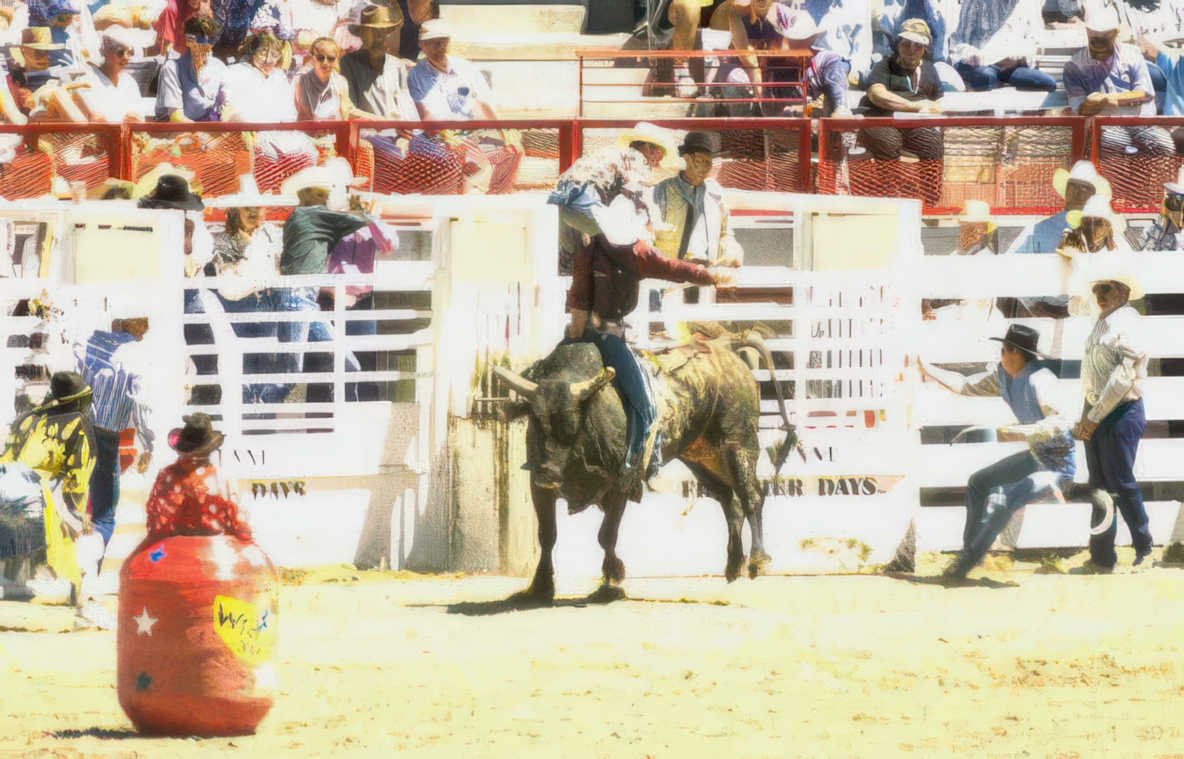 rodeo bull frontier 2 Vintage A4 Photo Print