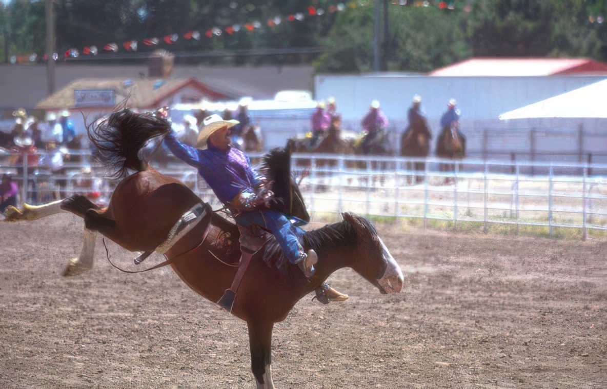 rodeo bull rider 2 Vintage A4 Photo Print