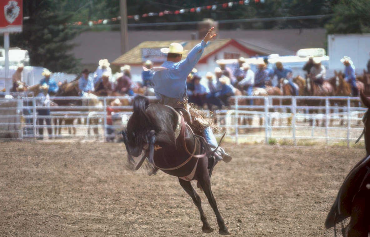 rodeo bull rider 3 Vintage A4 Photo Print