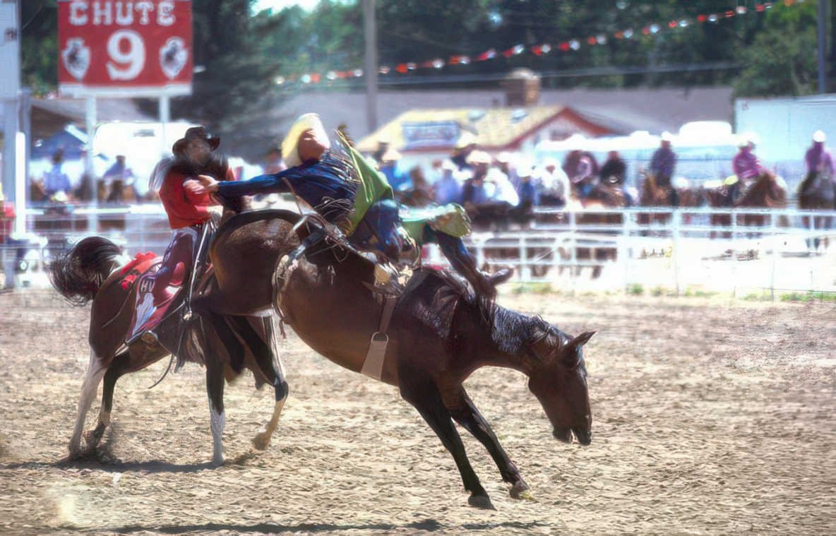 rodeo bull riding 2 Vintage A4 Photo Print