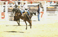 rodeo bull riding 3 Vintage A4 Photo Print