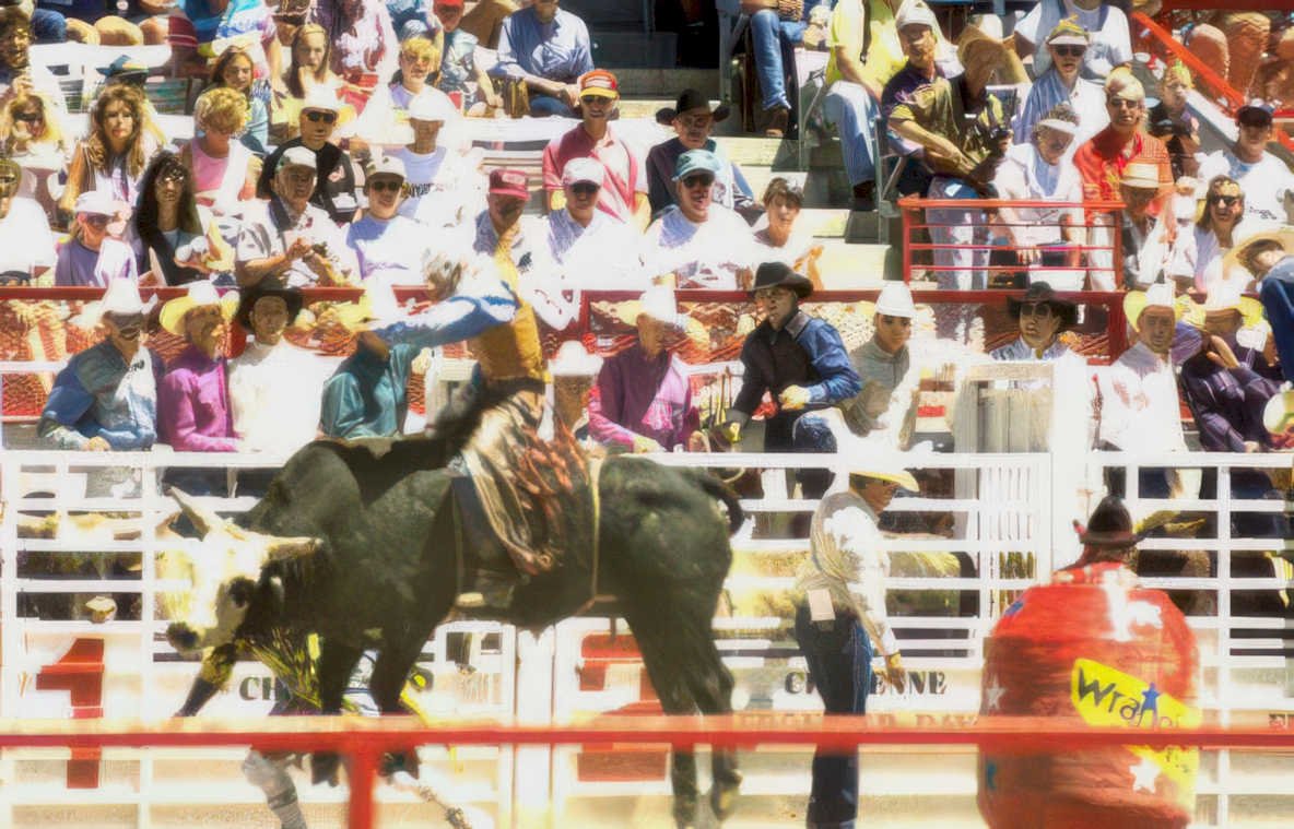 rodeo bull riding 7 Vintage A4 Photo Print