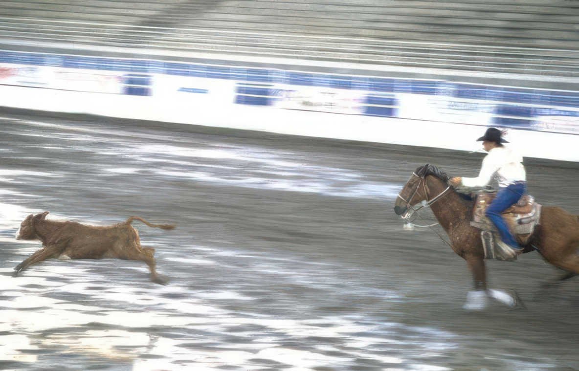 rodeo calf arena Vintage A4 Photo Print