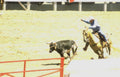 rodeo calf roping 1 Vintage A4 Photo Print