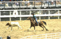 rodeo calf roping 10 Vintage A4 Photo Print