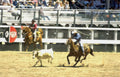 rodeo calf roping 11 Vintage A4 Photo Print
