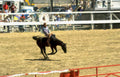 rodeo calf roping 4 Vintage A4 Photo Print
