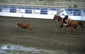 rodeo calf roping 5 Vintage A4 Photo Print