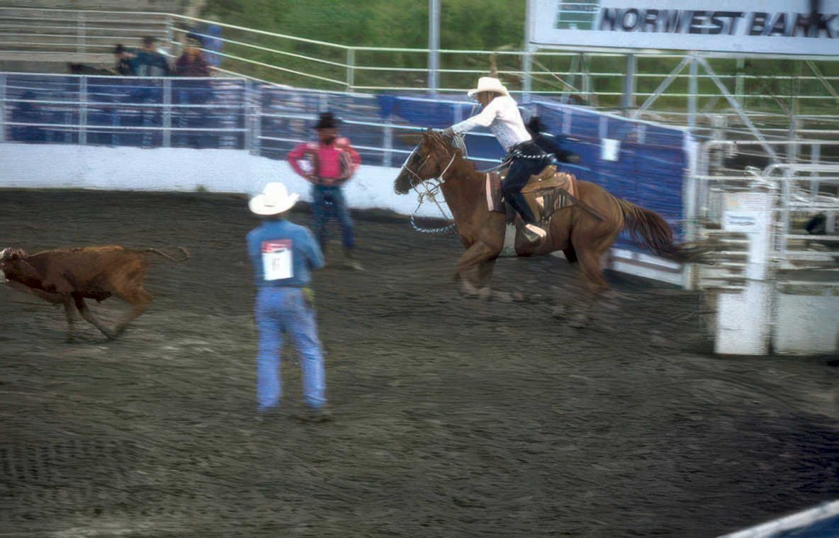 rodeo calf roping 6 Vintage A4 Photo Print