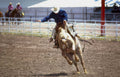 rodeo cowboy arena 2 Vintage A4 Photo Print
