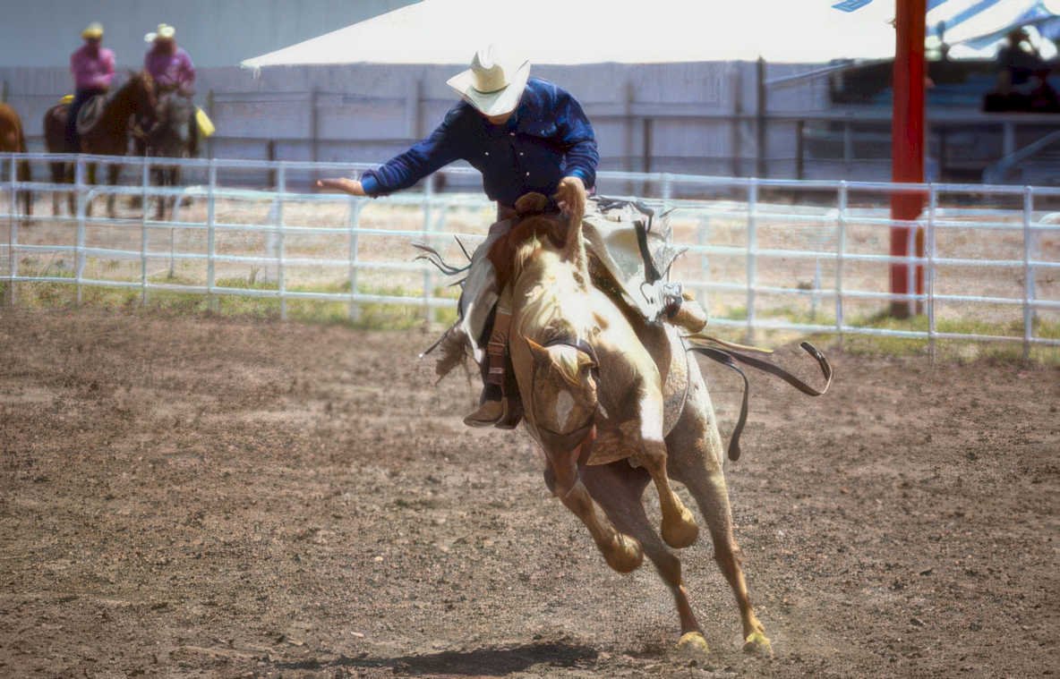 rodeo cowboy arena 2 Vintage A4 Photo Print