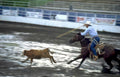 rodeo cowboy rope Vintage A4 Photo Print