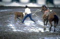 rodeo mud horse Vintage A4 Photo Print