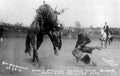 rodeo silver bucking Vintage world war A4 Photo Print