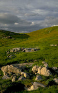 rolling grass hills 1980s 1990s A4 Photo Print