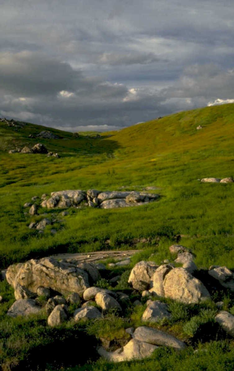 rolling grass hills 1980s 1990s A4 Photo Print