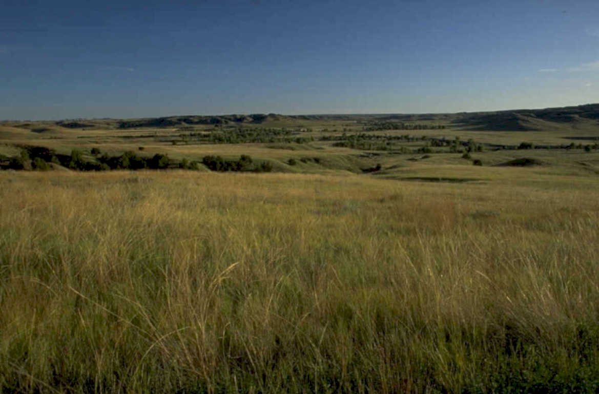 rolling grassland hills 1980s 1990s A4 Photo Print