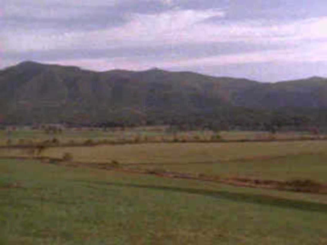 rolling hills landscape1980s 1990s A4 Photo Print