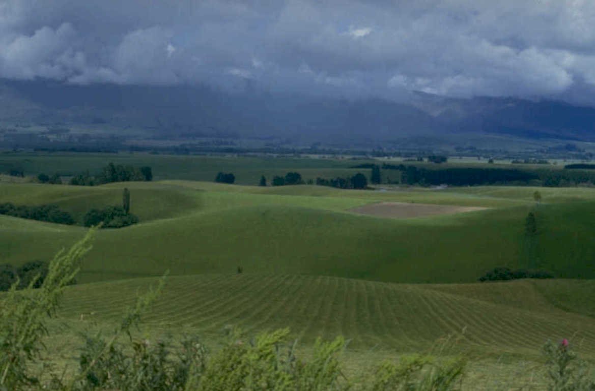 rolling hills nz 1980s 1990s A4 Photo Print