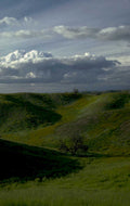 rolling hills oak 1980s 1990s A4 Photo Print