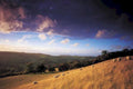 rolling hills sheep UK GB British A4 Photo Print