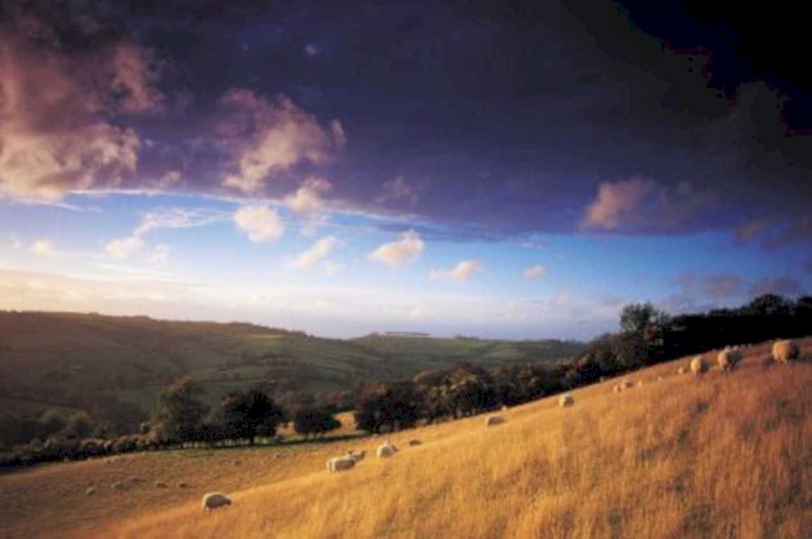 rolling hills sheep UK GB British A4 Photo Print