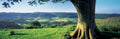 rolling hills tree UK GB British A4 Photo Print