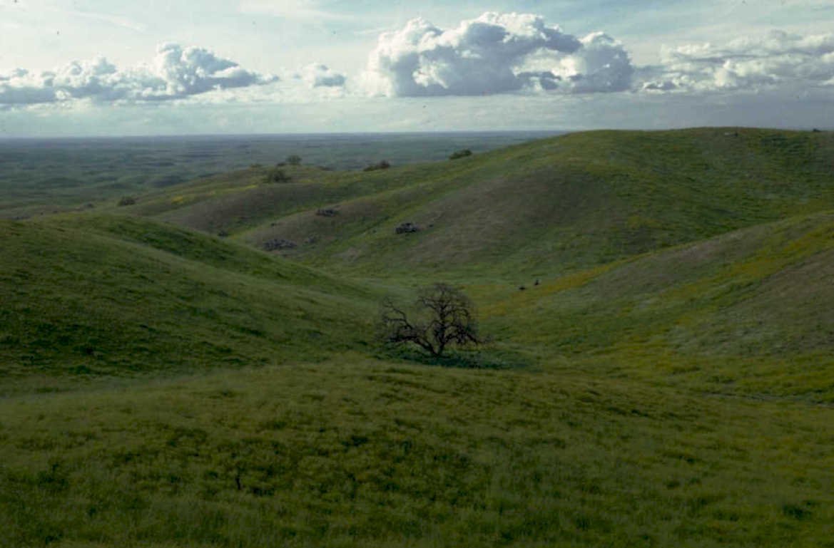 rolling hills valley 1980s 1990s A4 Photo Print