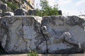 roman boy lion 1980s 1990s A4 Photo Print