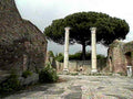 roman columns courtyard1980s 1990s A4 Photo Print