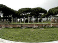 roman forum columns1980s 1990s A4 Photo Print