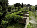 roman forum ivy1980s 1990s A4 Photo Print